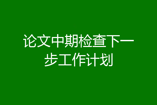 论文中期检查下一步工作计划