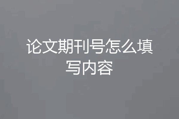论文期刊号怎么填写内容