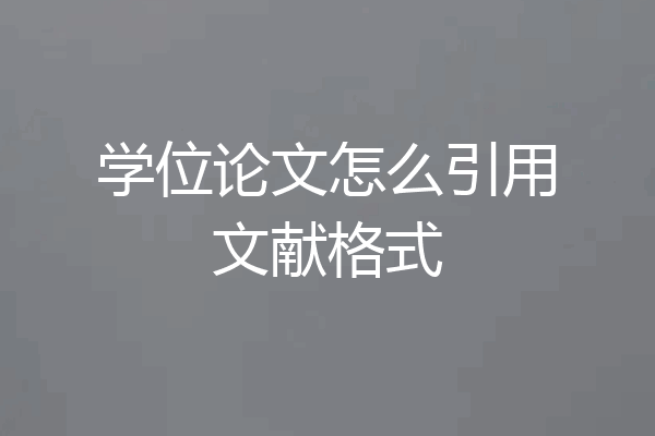 学位论文怎么引用文献格式
