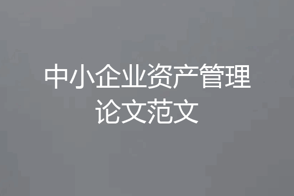 中小企业资产管理论文范文