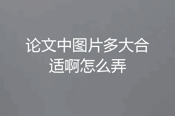 论文中图片多大合适啊怎么弄