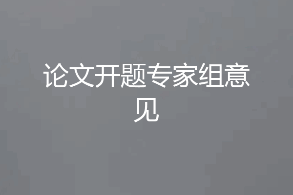 论文开题专家组意见
