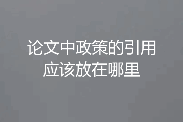 论文中政策的引用应该放在哪里