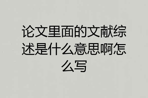 论文里面的文献综述是什么意思啊怎么写