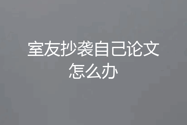 室友抄袭自己论文怎么办