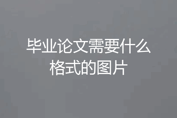 毕业论文需要什么格式的图片