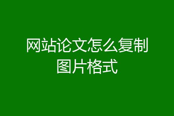 网站论文怎么复制图片格式