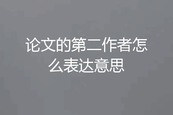 论文的第二作者怎么表达意思