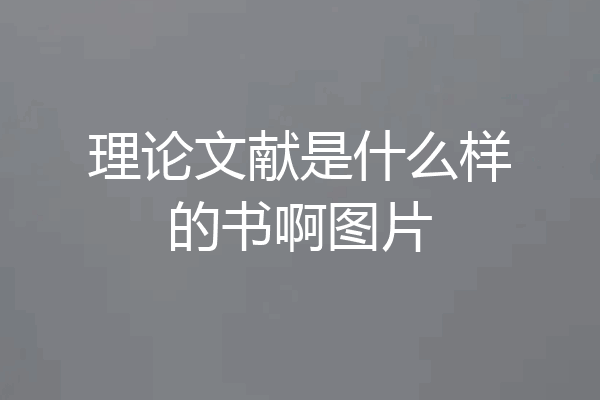 理论文献是什么样的书啊图片