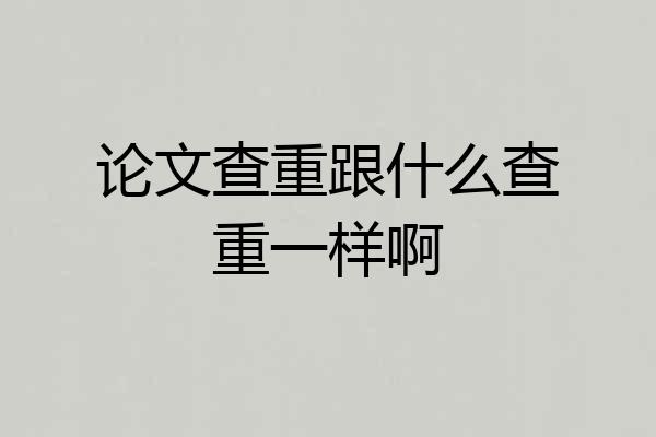 论文查重跟什么查重一样啊