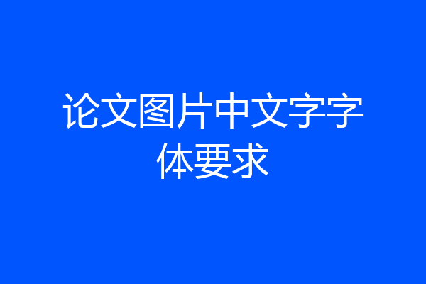 论文图片中文字字体要求