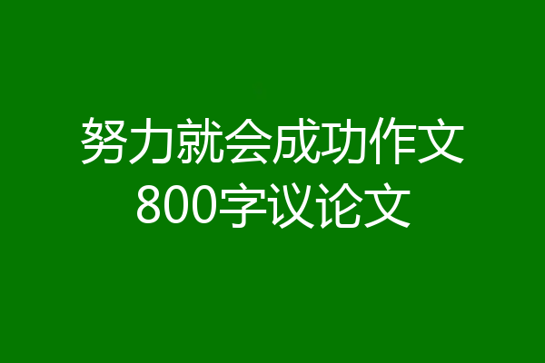 努力就会成功作文800字议论文