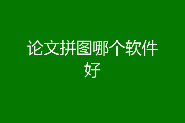 论文拼图哪个软件好