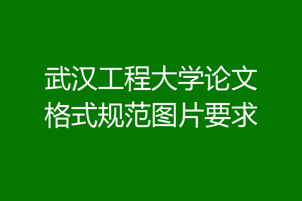 武汉工程大学论文格式规范图片要求