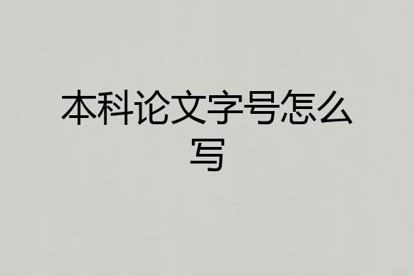 本科论文字号怎么写