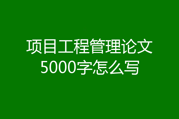 项目工程管理论文5000字怎么写
