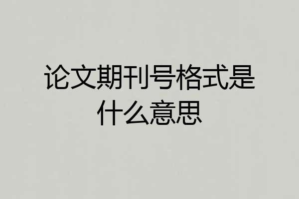 论文期刊号格式是什么意思