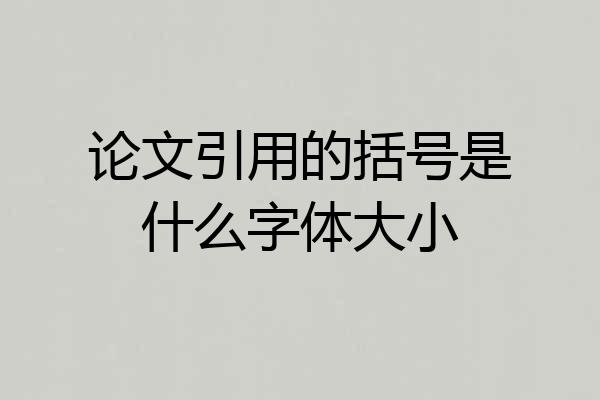 论文引用的括号是什么字体大小