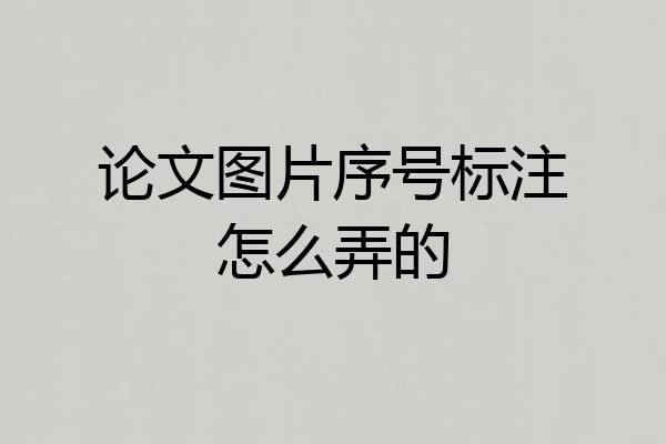 论文图片序号标注怎么弄的