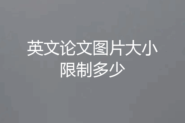 英文论文图片大小限制多少