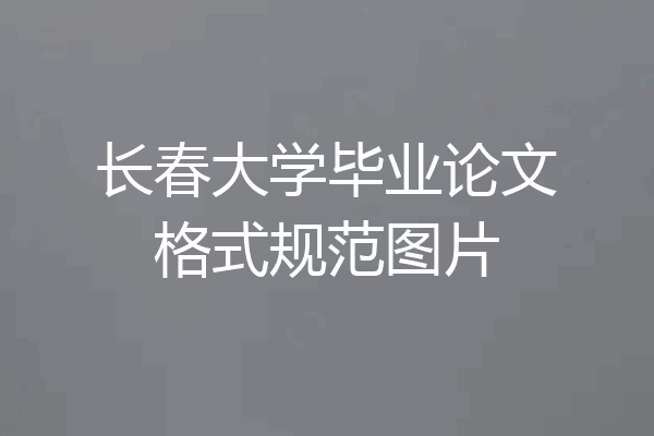 长春大学毕业论文格式规范图片