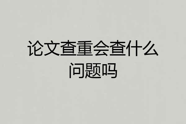 论文查重会查什么问题吗