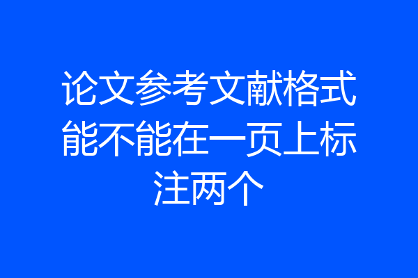 论文参考文献格式能不能在一页上标注两个