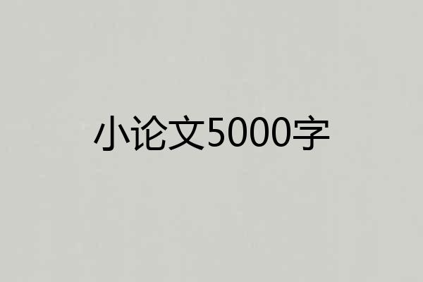 小论文5000字