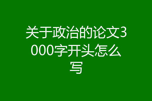 关于政治的论文3000字开头怎么写