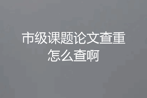 市级课题论文查重怎么查啊