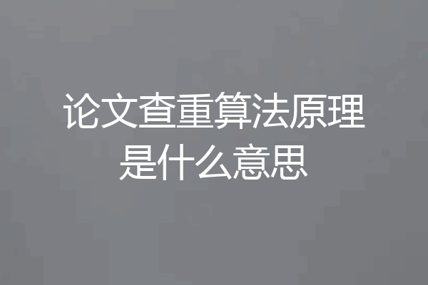 论文查重算法原理是什么意思