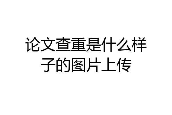 论文查重是什么样子的图片上传
