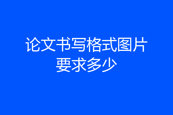 论文书写格式图片要求多少