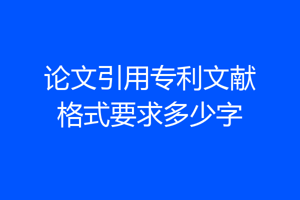 论文引用专利文献格式要求多少字