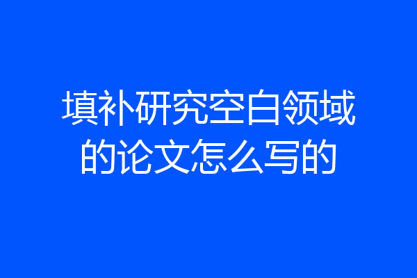 填补研究空白领域的论文怎么写的