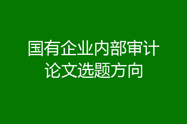 国有企业内部审计论文选题方向