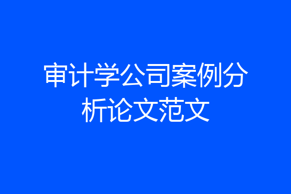 审计学公司案例分析论文范文