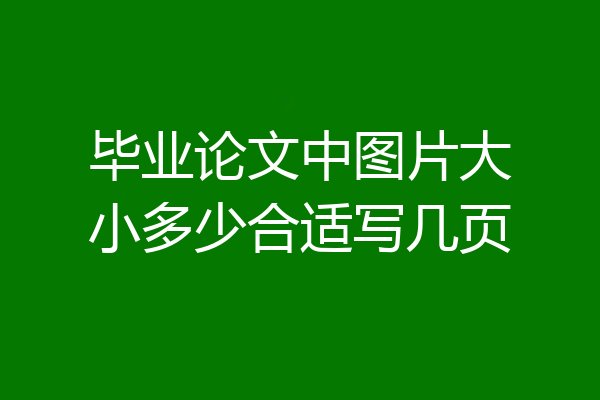 毕业论文中图片大小多少合适写几页