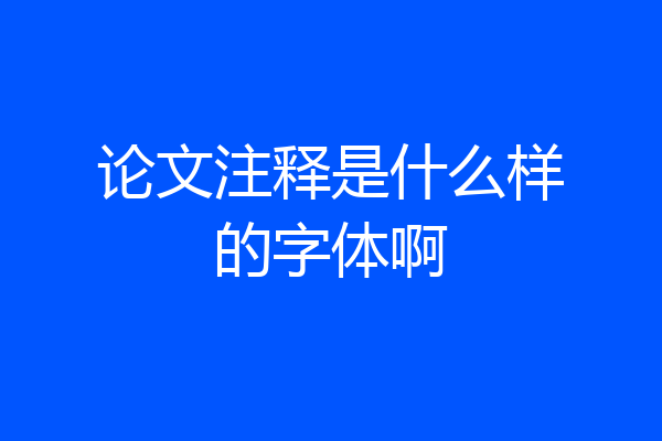 论文注释是什么样的字体啊