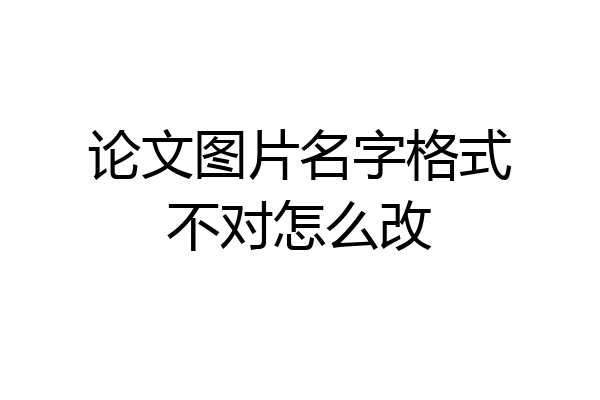 论文图片名字格式不对怎么改