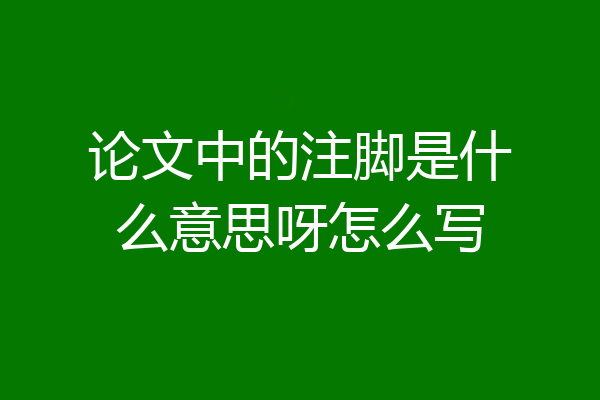 论文中的注脚是什么意思呀怎么写