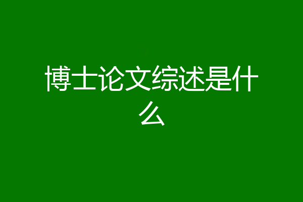 博士论文综述是什么
