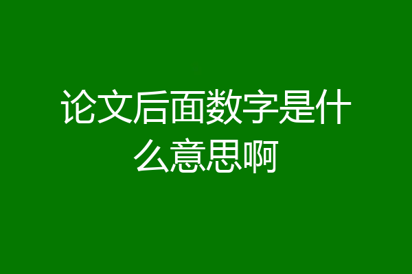 论文后面数字是什么意思啊