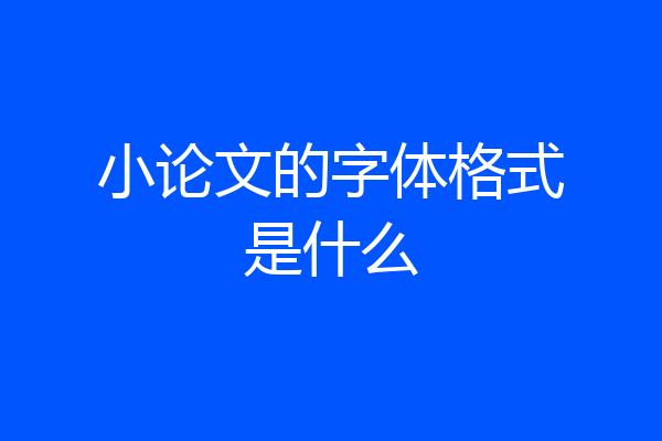 小论文的字体格式是什么