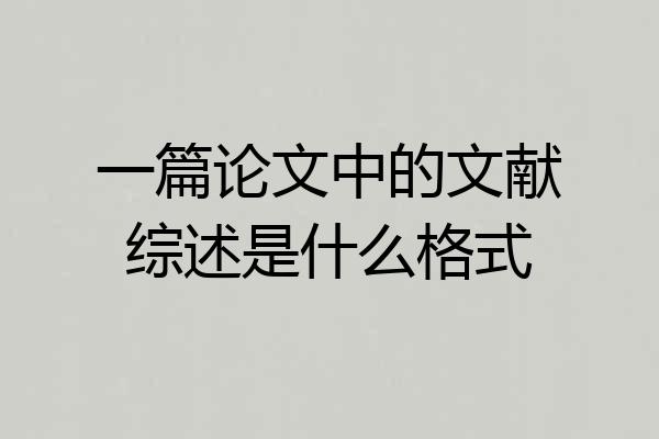 一篇论文中的文献综述是什么格式