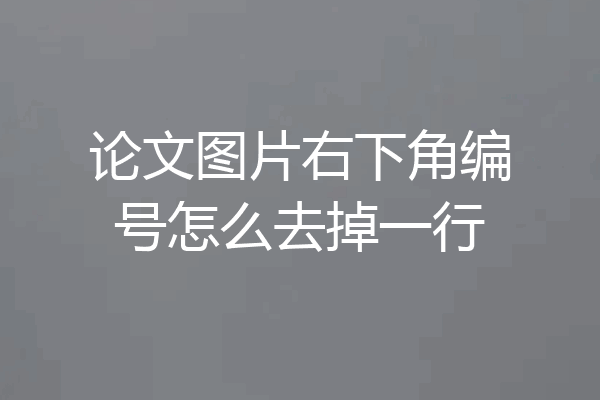 论文图片右下角编号怎么去掉一行