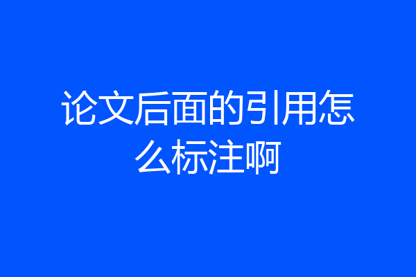 论文后面的引用怎么标注啊