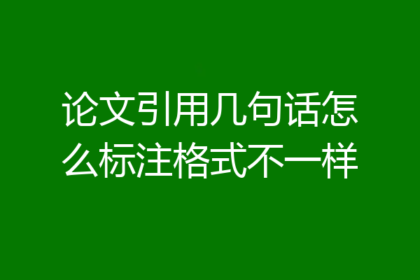 论文引用几句话怎么标注格式不一样