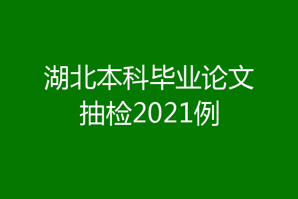 湖北本科毕业论文抽检2021例