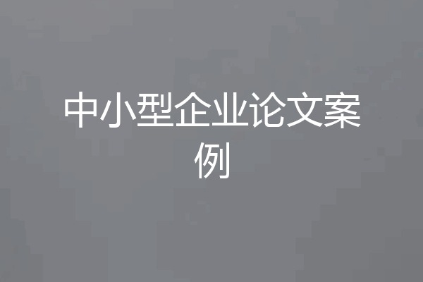 中小型企业论文案例